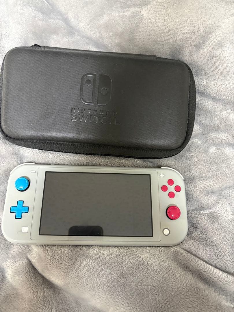 Nintendo Switch Lite ケース、SDカード256GB付