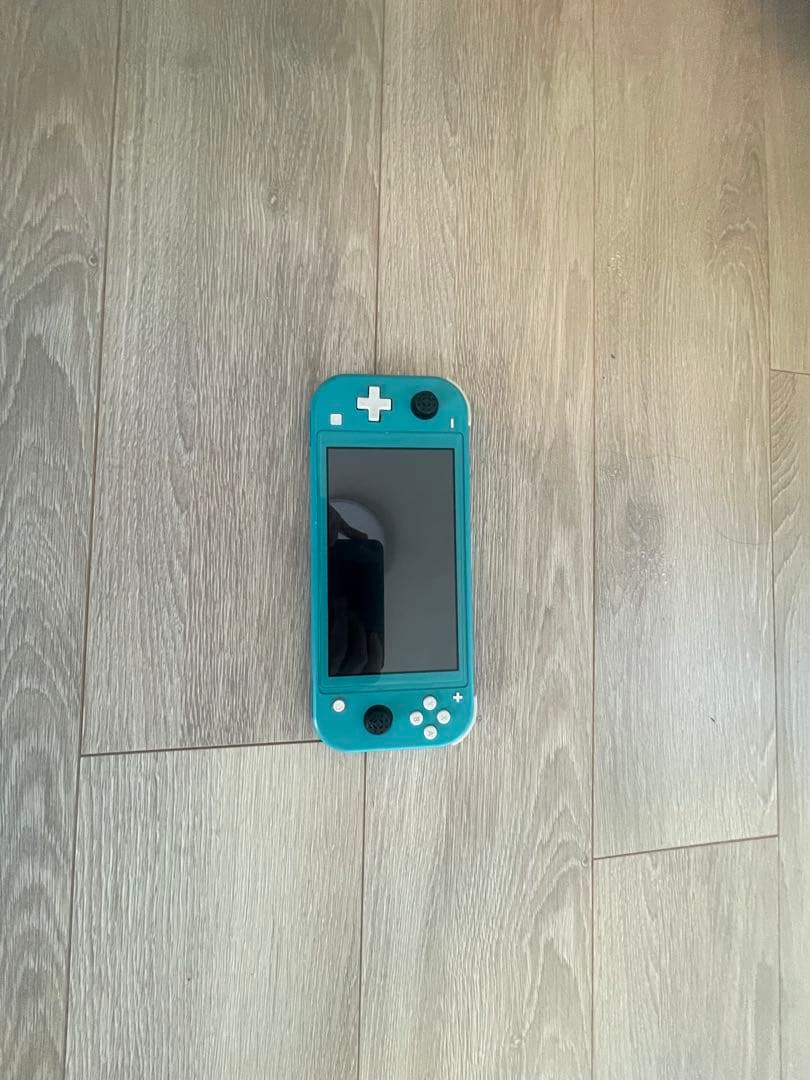 ま*り様 Nintendo Switch Nintendo switch lig