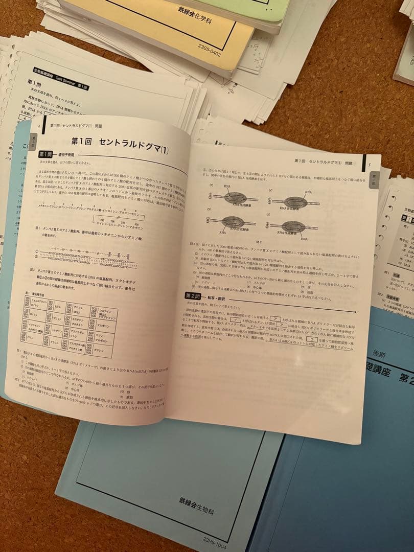 鉄緑会高二生物一式