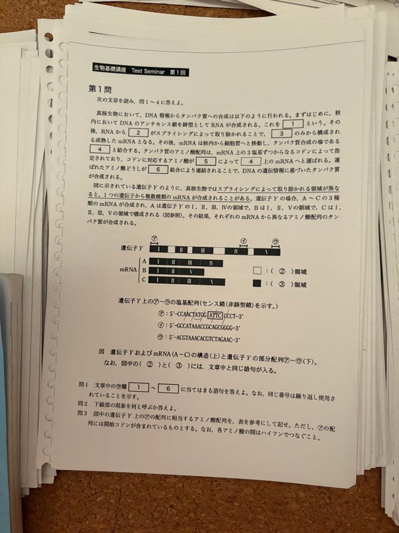 鉄緑会高二生物一式