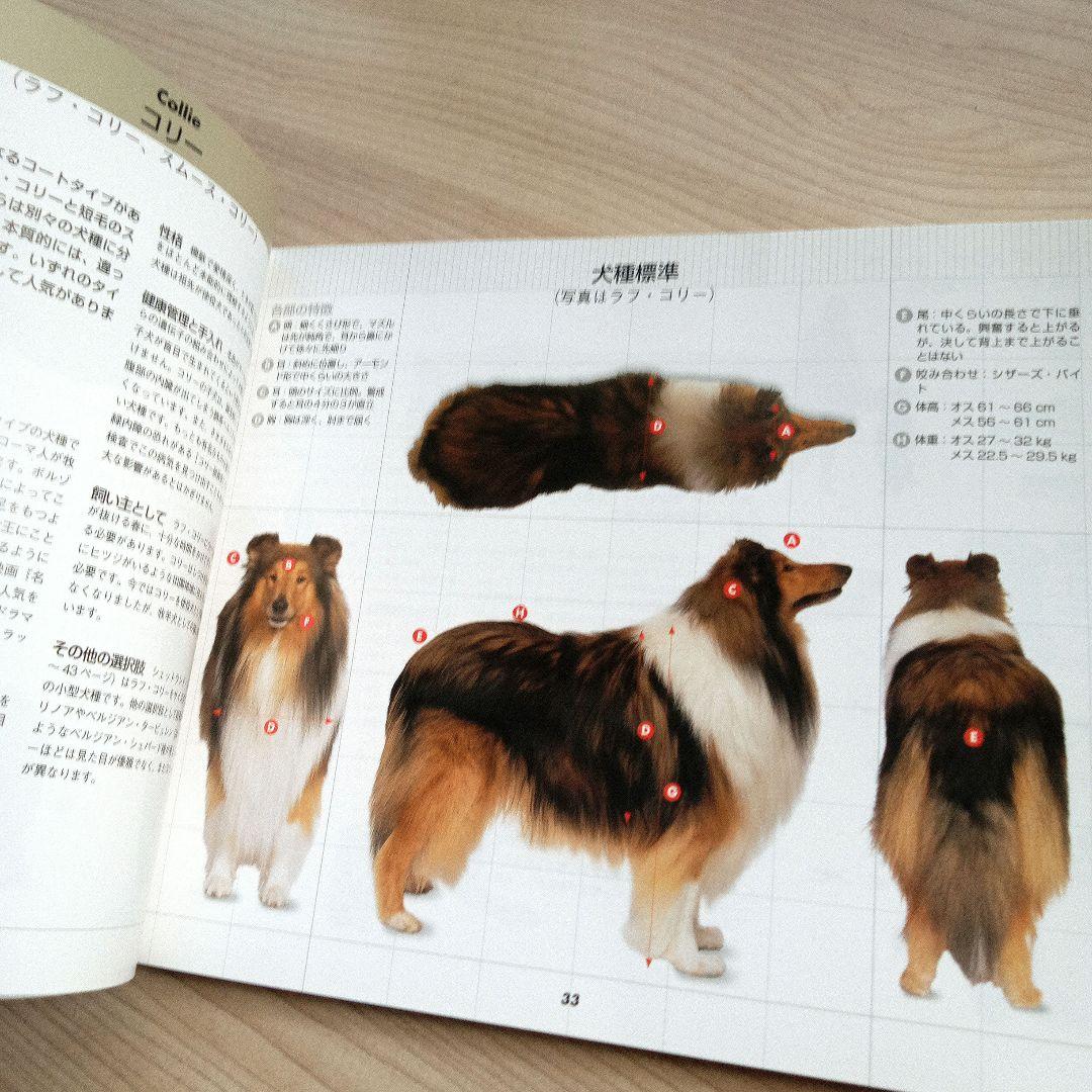 360°ビジュアル犬種大図鑑 初版 希少
