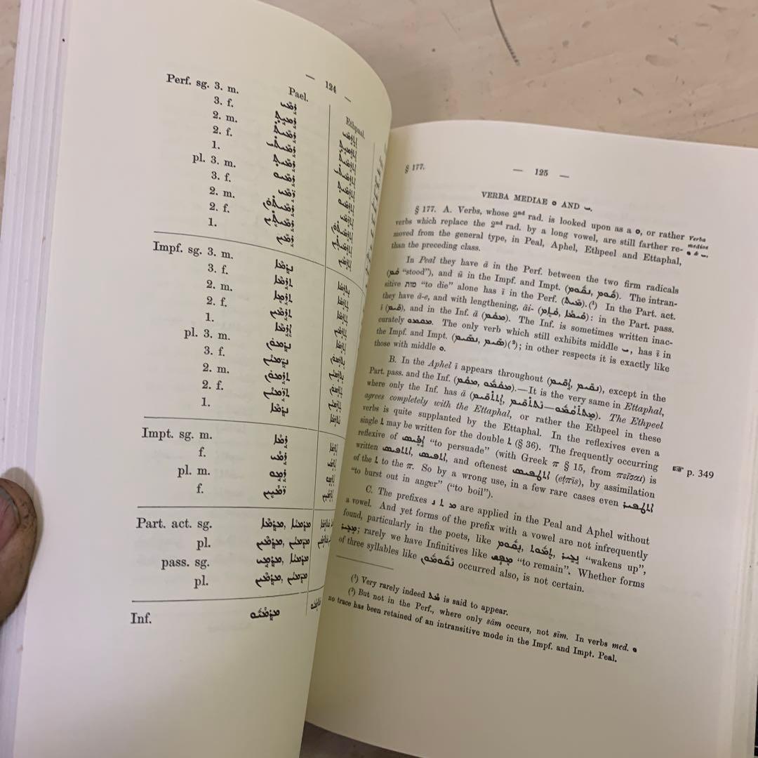 Compendious Syriac Grammar 洋書