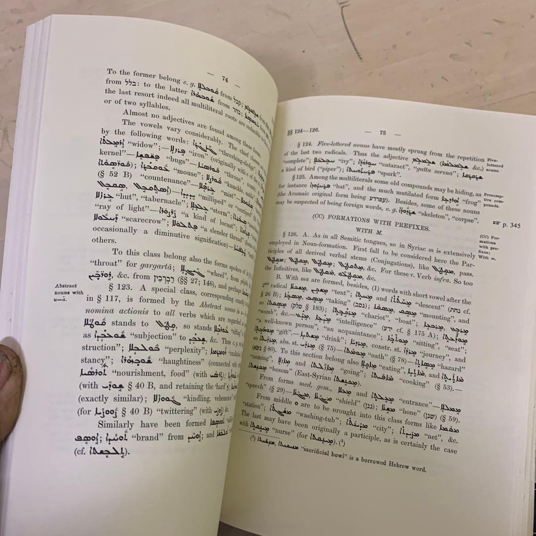 Compendious Syriac Grammar 洋書