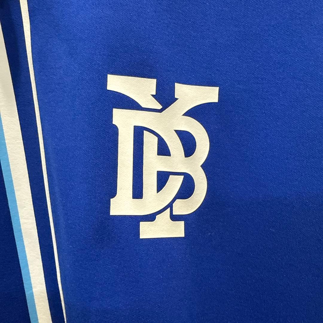 Ｋ*Ｔ様 最終スタート価格 横浜DeNAベイスターズ 青ストライプデザインフード