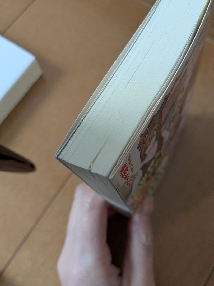 ライトノベルファンタジー小説38冊まとめ売り！