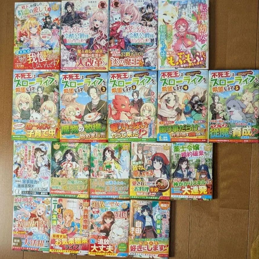ライトノベルファンタジー小説38冊まとめ売り！