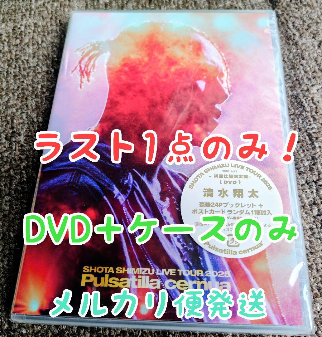 清水翔太 ライブ 2025 DVD Pulsatilla cernua