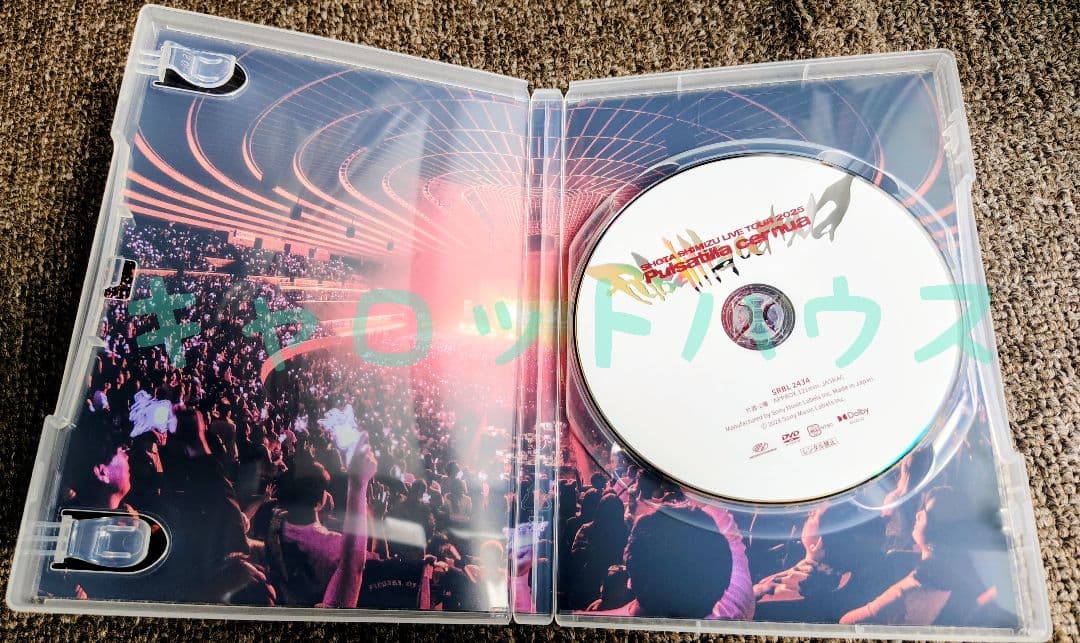 清水翔太 ライブ 2025 DVD Pulsatilla cernua