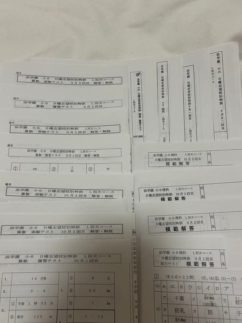 四天王寺中学　浜学園　小6 テキスト　プリントおまとめセット