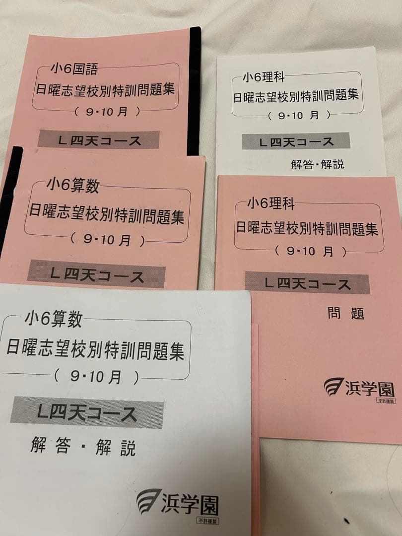 四天王寺中学　浜学園　小6 テキスト　プリントおまとめセット