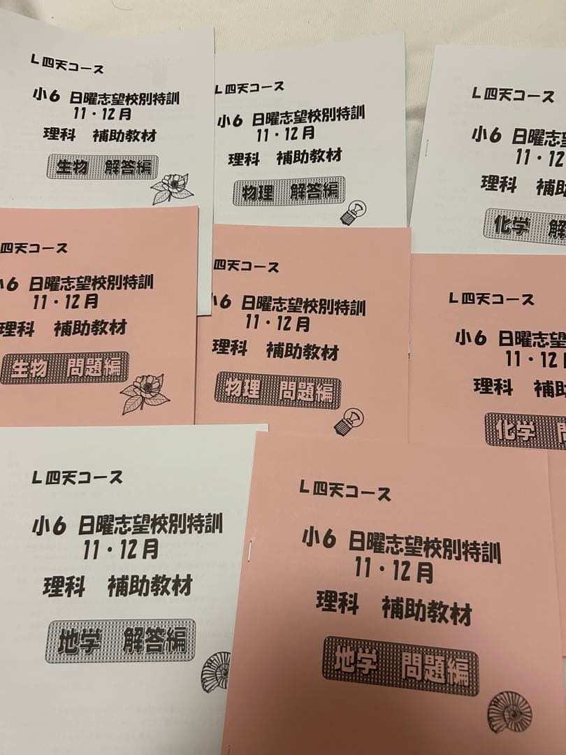 四天王寺中学　浜学園　小6 テキスト　プリントおまとめセット