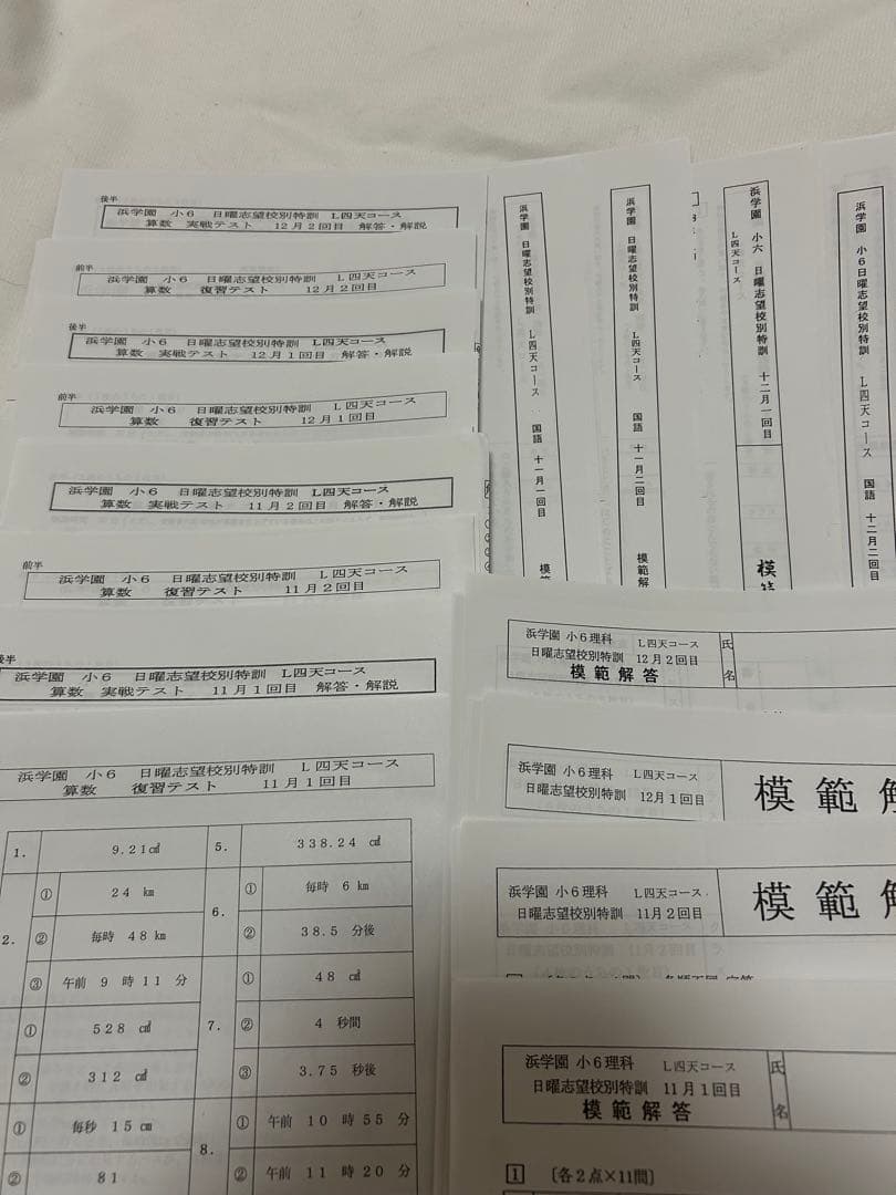 四天王寺中学　浜学園　小6 テキスト　プリントおまとめセット