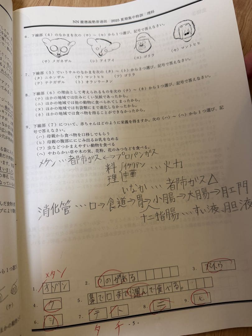 早稲アカ　NN 慶應普通部　前期　4科目　2025