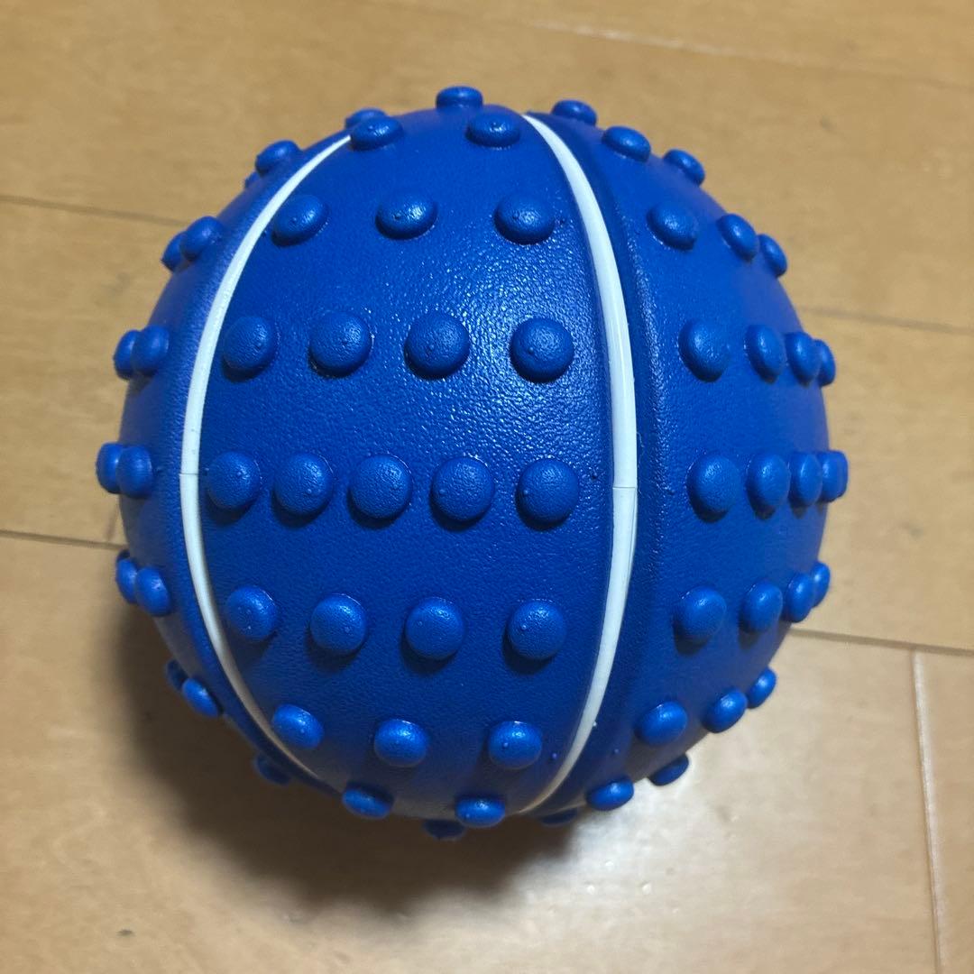 ユミコアボディ　ホグッシープラス　ブルー　エクササイズ