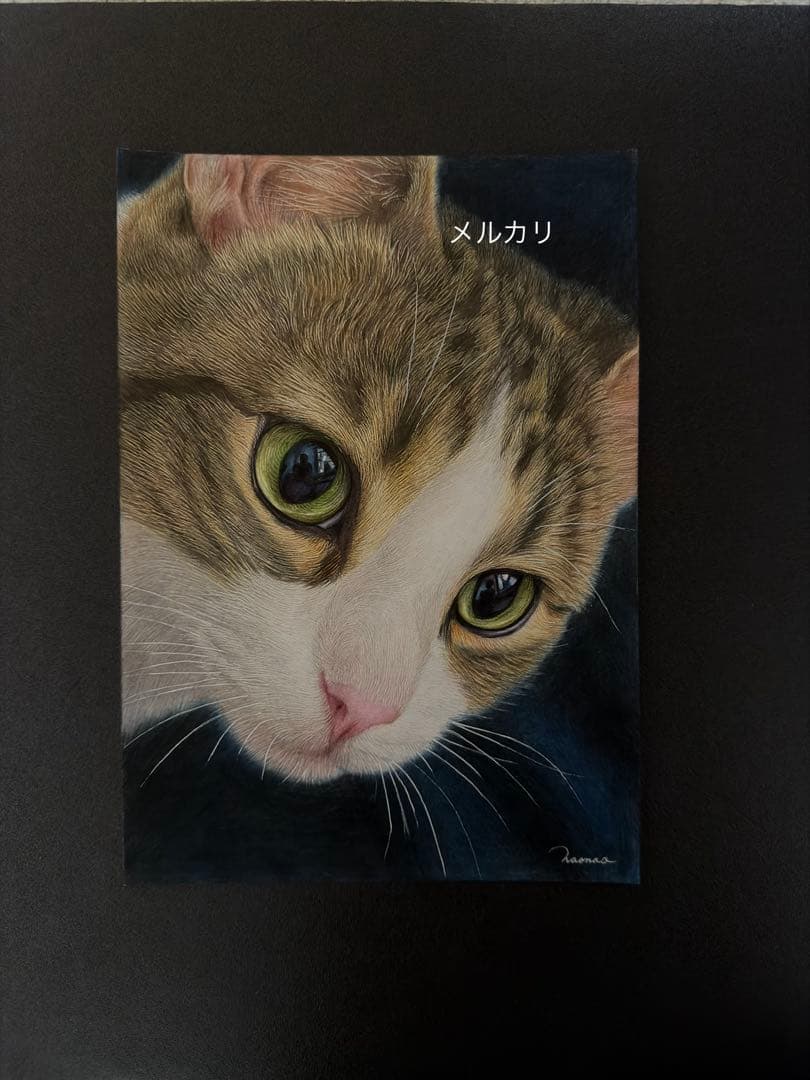 色鉛筆画A4.キジシロ43