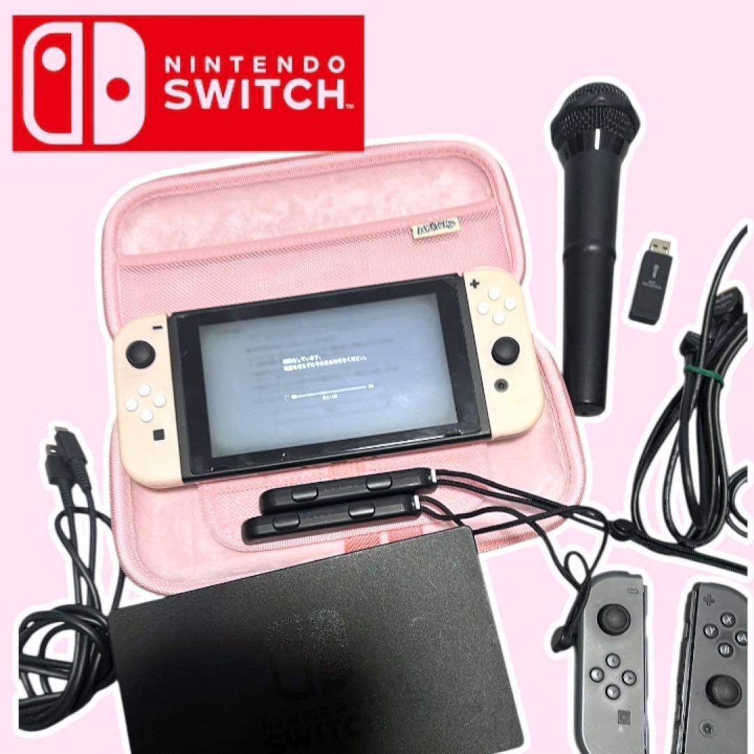 NintendoSwitchピンク本体 + 付属品コントローラー、マイク他