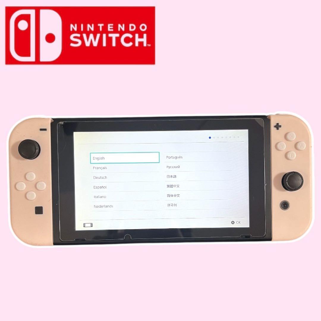 NintendoSwitchピンク本体 + 付属品コントローラー、マイク他