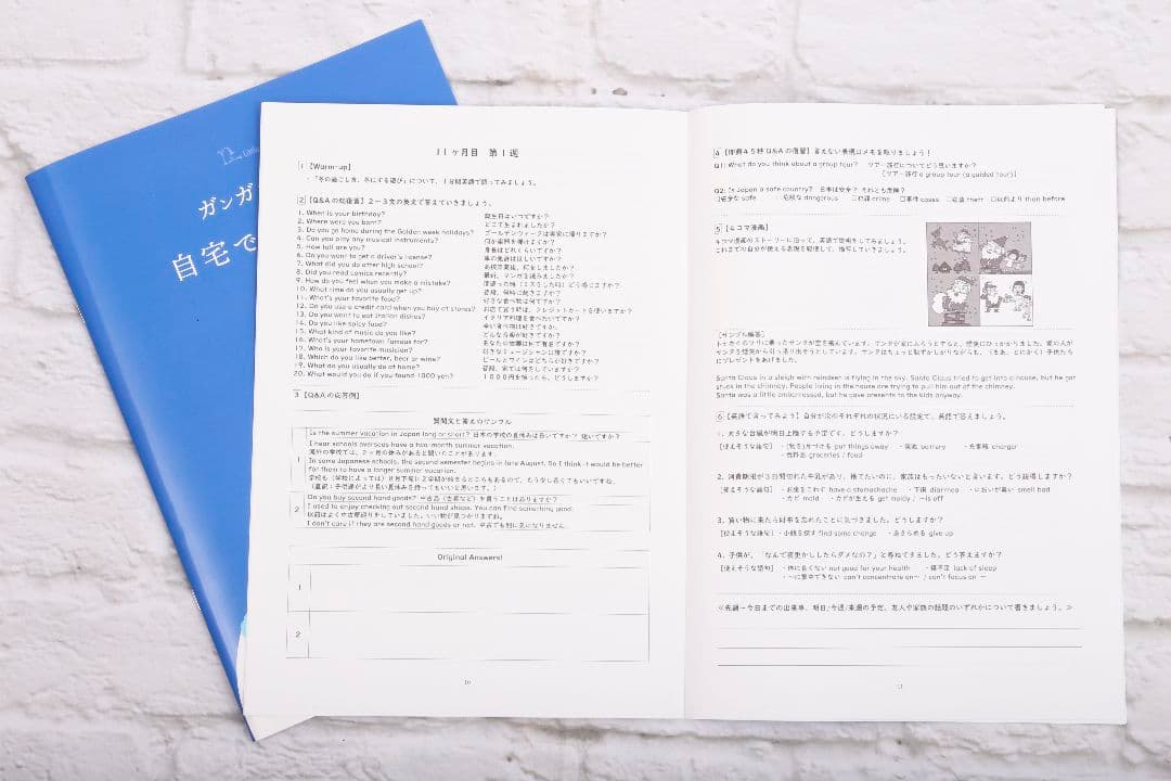留学レベルの英会話力養成DVD 週1レッスン×1年間 （メールサポート2カ月分）