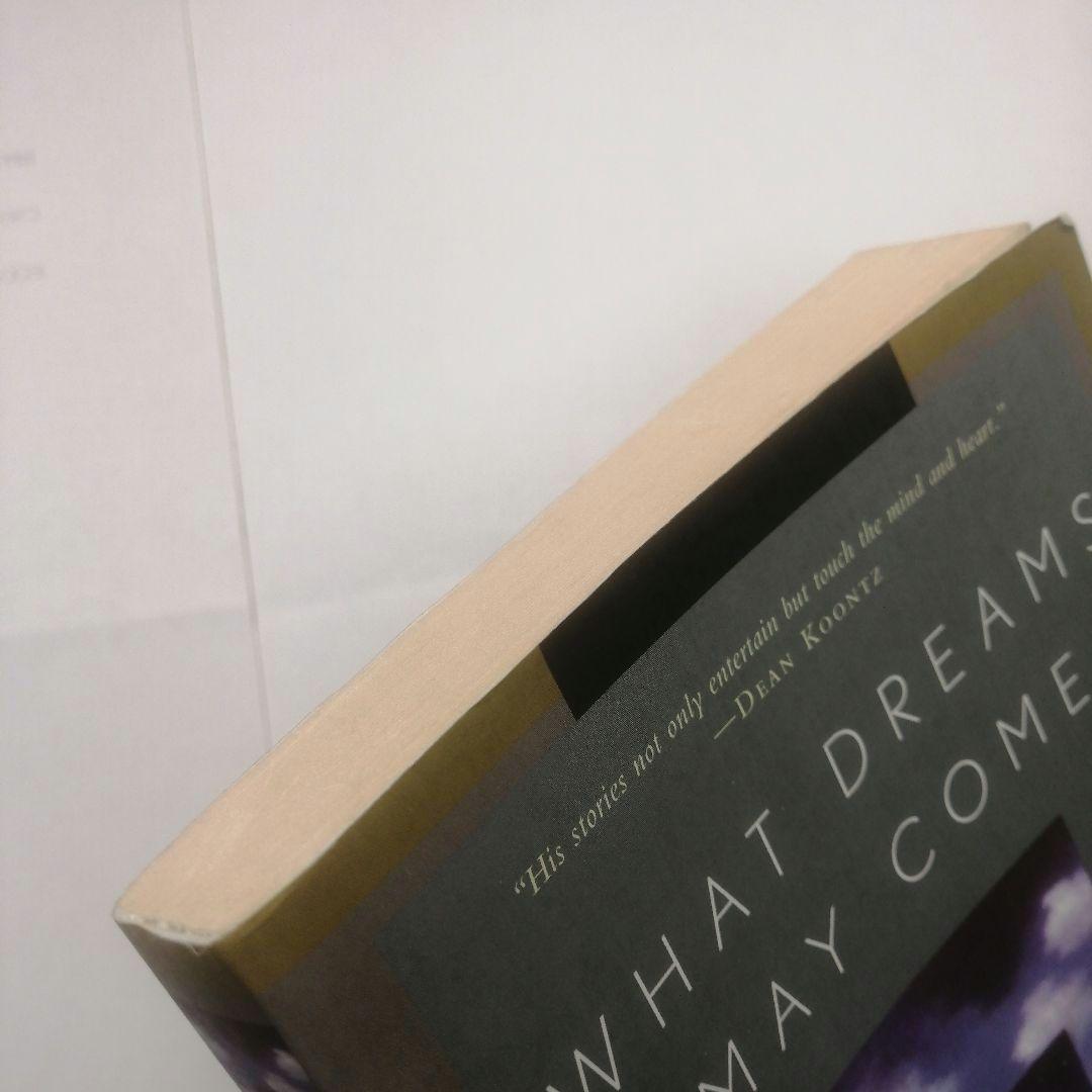 What Dreams May Come 洋書　奇蹟の輝き
