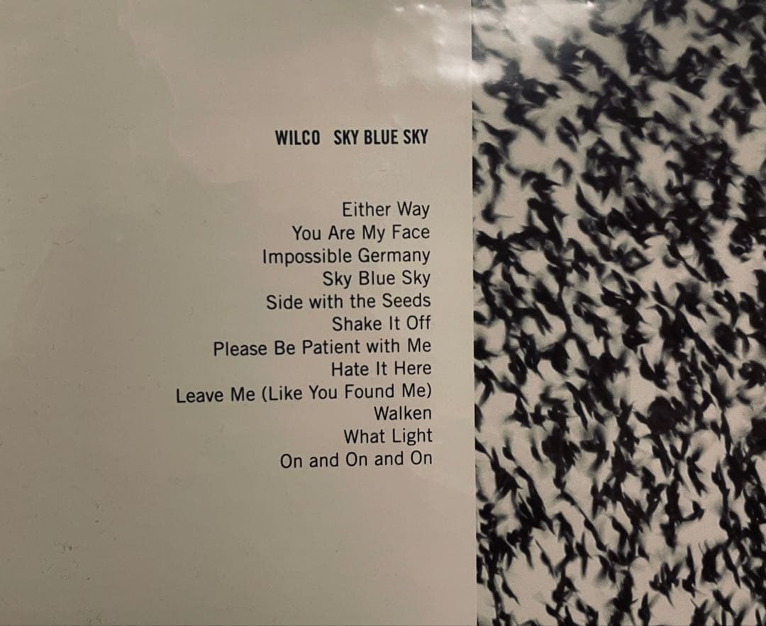 Wilco Sky Blue Sky レコード