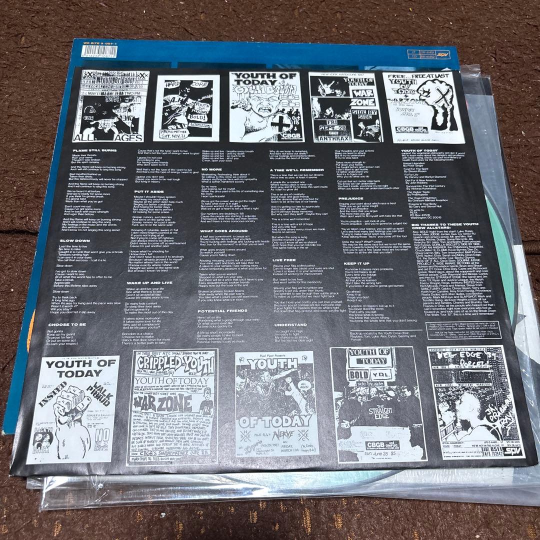 祝来日！ YOUTH OF TODAY 激レアWE BITE盤 レコード 希少品