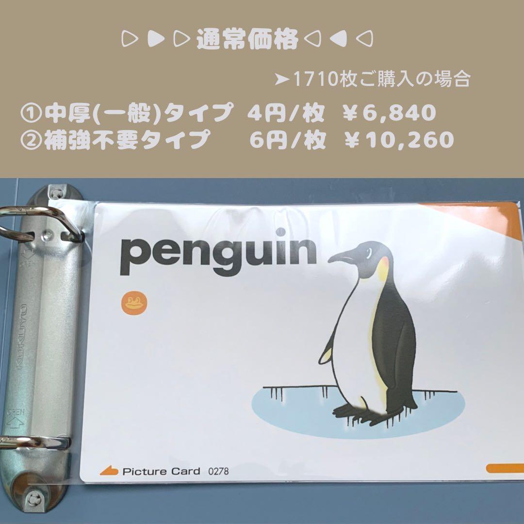 ◎最安値！ ペッピーキッズ ピクチャーカード 収納袋 補強不要タイプ リフィル