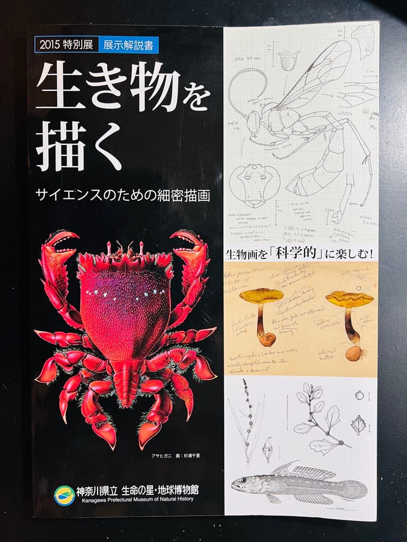 【貴重書】生き物を描く　サイエンスのための精密描画　生命の星地球博物館展示解説書