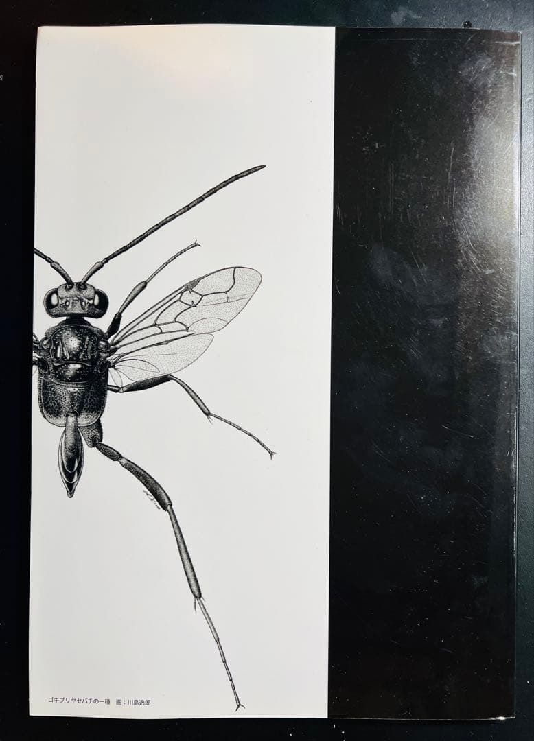 【貴重書】生き物を描く　サイエンスのための精密描画　生命の星地球博物館展示解説書