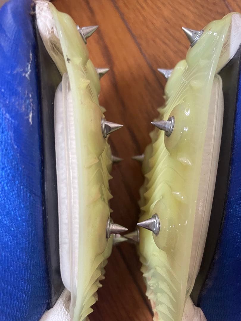 NIKE マックスフライ 25.5cm ブルー