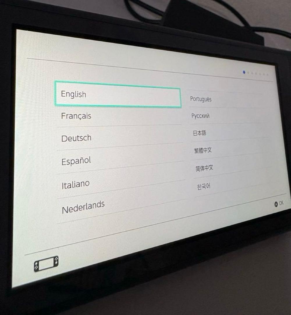 Nintendo Switch ライト 本体 グレー ACアダプター付き