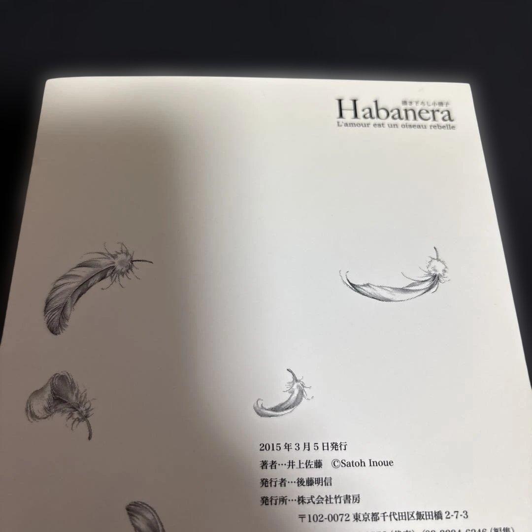 10DANCE／井上佐藤／小冊子／竹書房／habanera／ハバネラ／全プレ