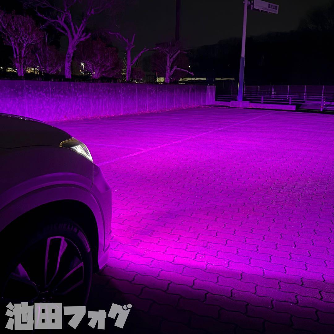 爆光！ HB4用 パープルピンク フォグランプ！ピンク パープル