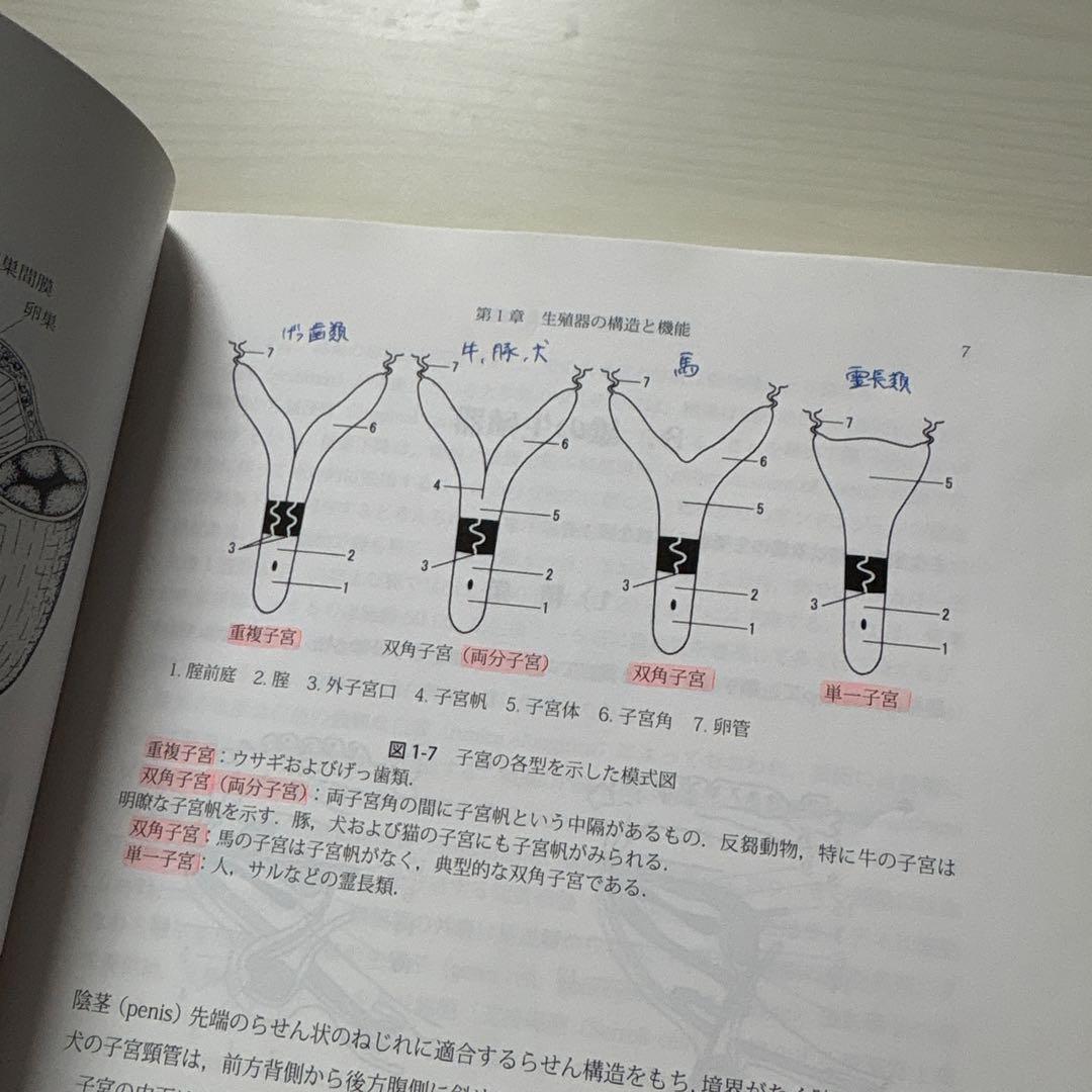 獣医繁殖学 第4版 文永堂出版