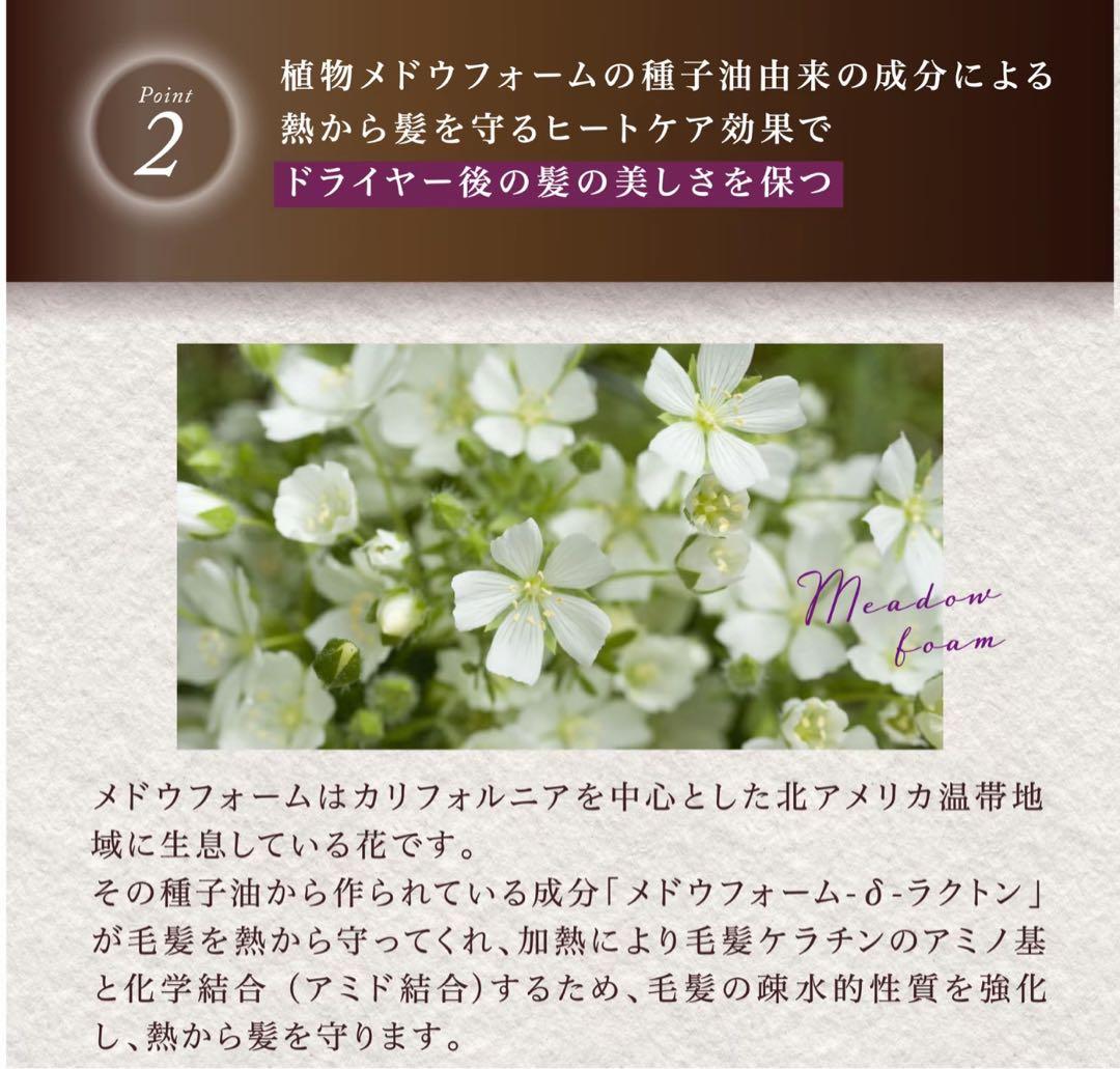 KYOGOKU SIGNATURE SHAMPOO 2本セット