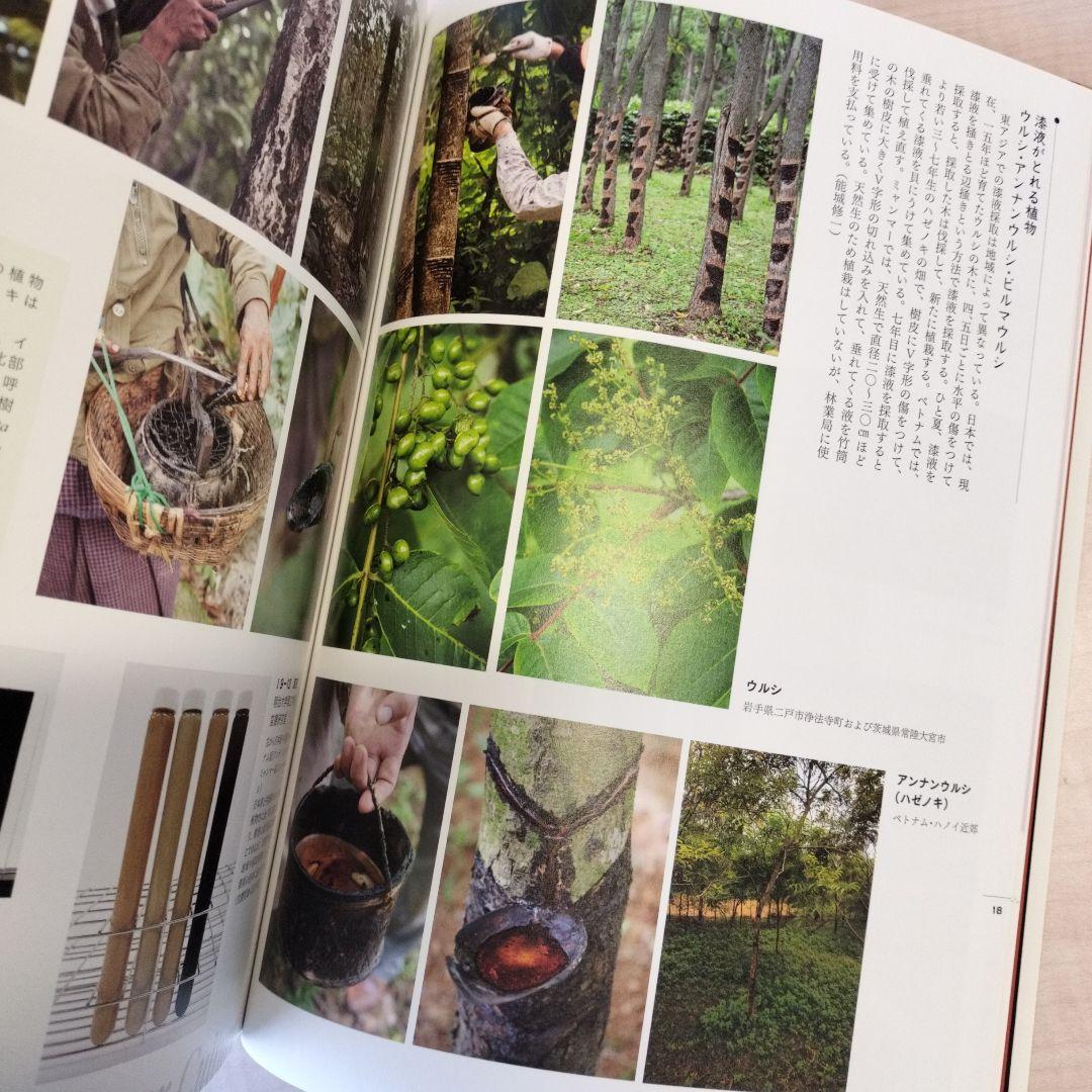 URUSHI ふしぎ物語 一人と漆の12000年史