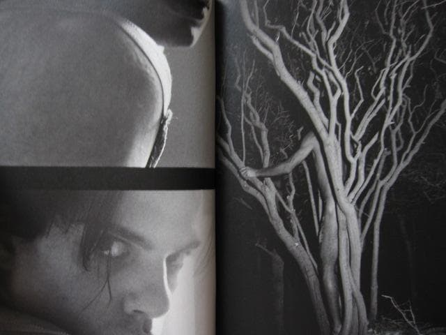 FANZINE 14　Daniel Rampulla　ダニエル・ランプラ