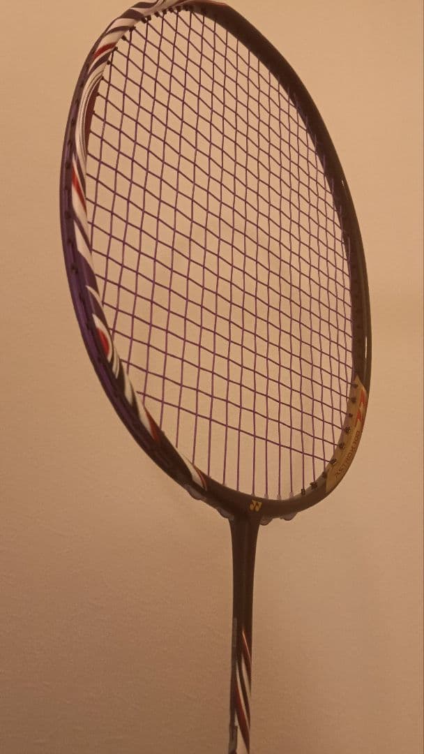 【超希少】 YONEX ASTROX 100zz bp