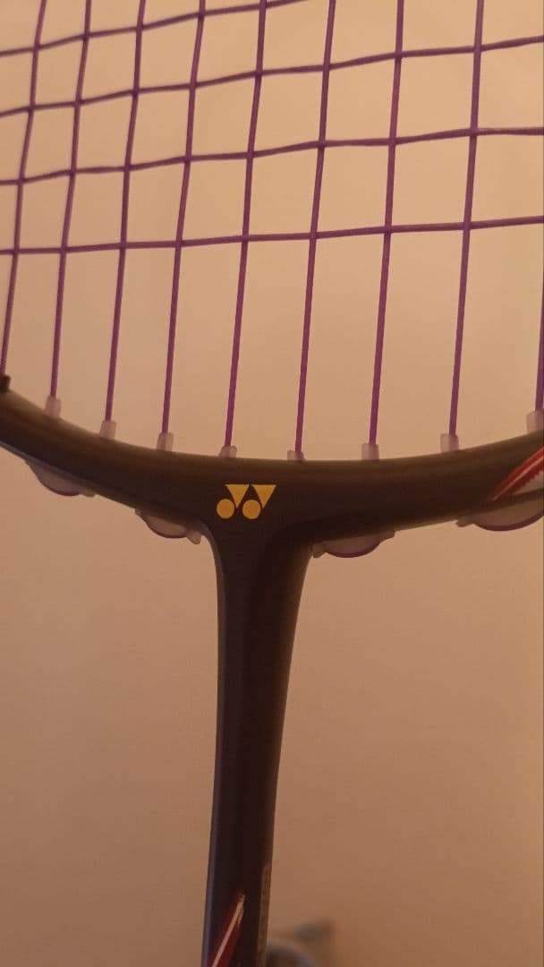 【超希少】 YONEX ASTROX 100zz bp