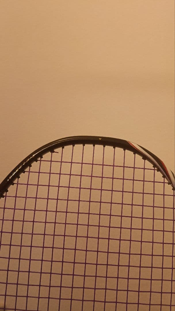 【超希少】 YONEX ASTROX 100zz bp