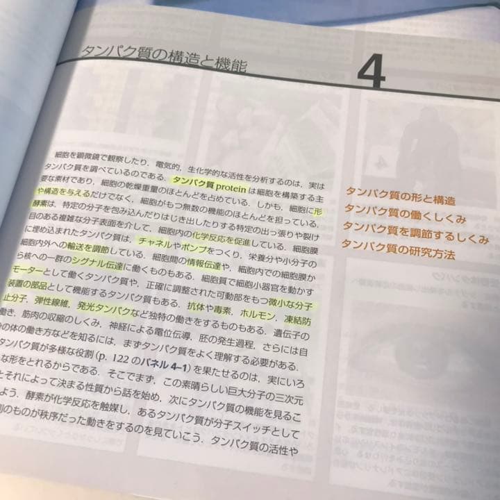 Essential細胞生物学　原書第4版　南江堂