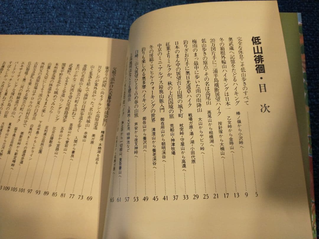 ▼希少 小林泰彦 画文集 低山徘徊 低山再会 日本百低山 登山 山と渓谷 ④a