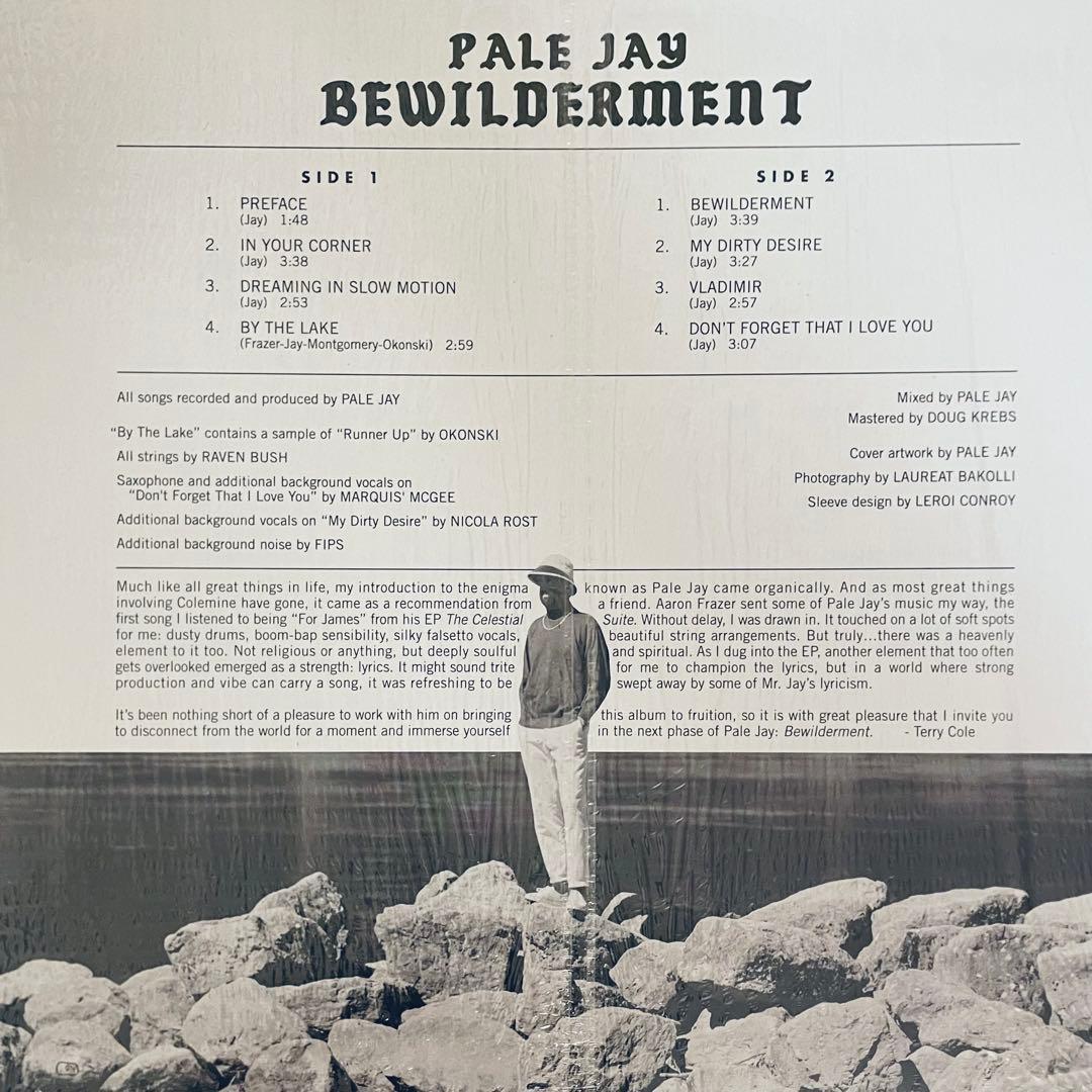 BEWILDERMENT　PALE JAY　LP　カラーレコード