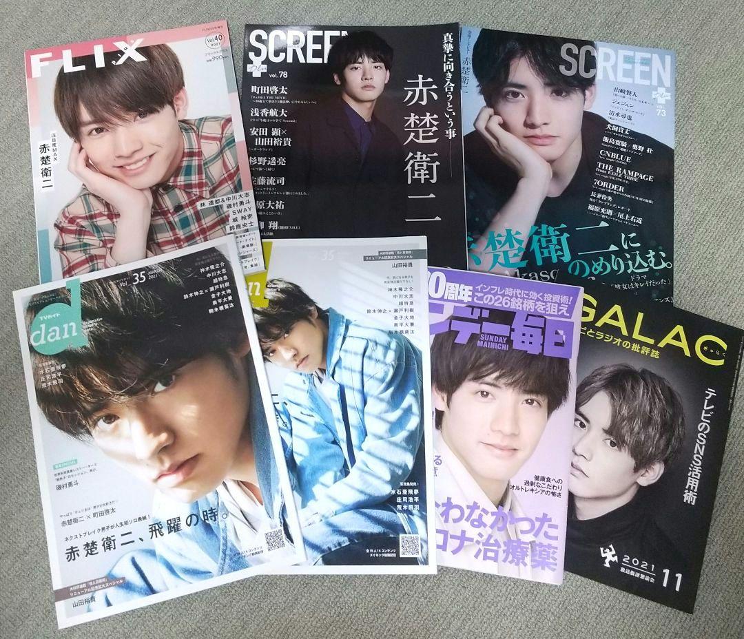 赤楚衛二 雑誌 パンフレット クリアファイル 等10点以上