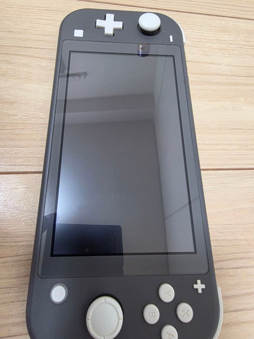 Nintendo Switch Lite　グレー