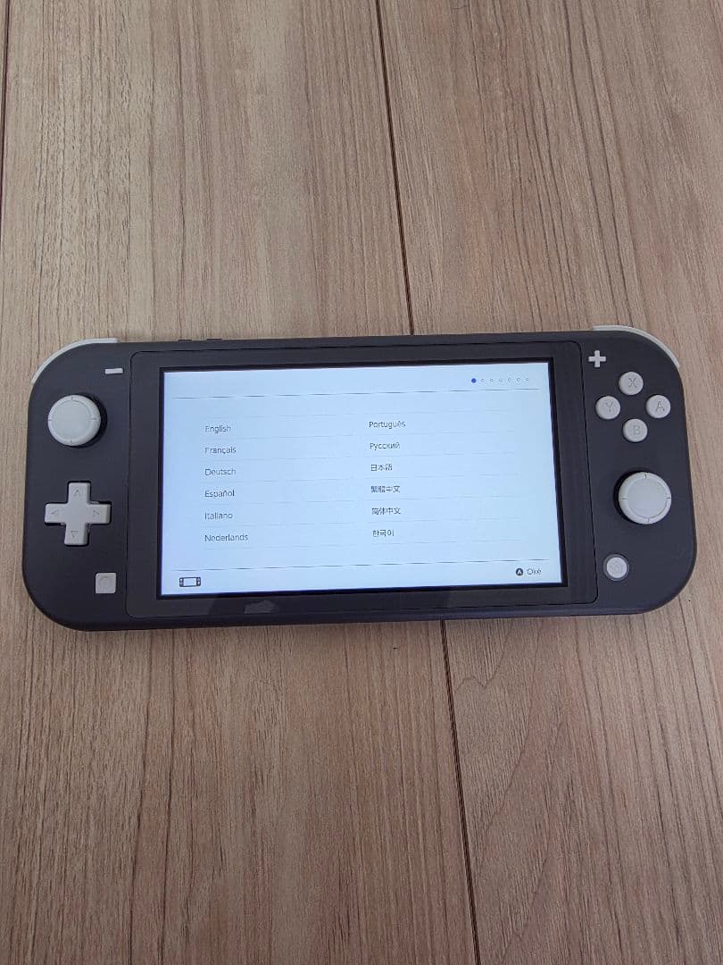 Nintendo Switch Lite　グレー