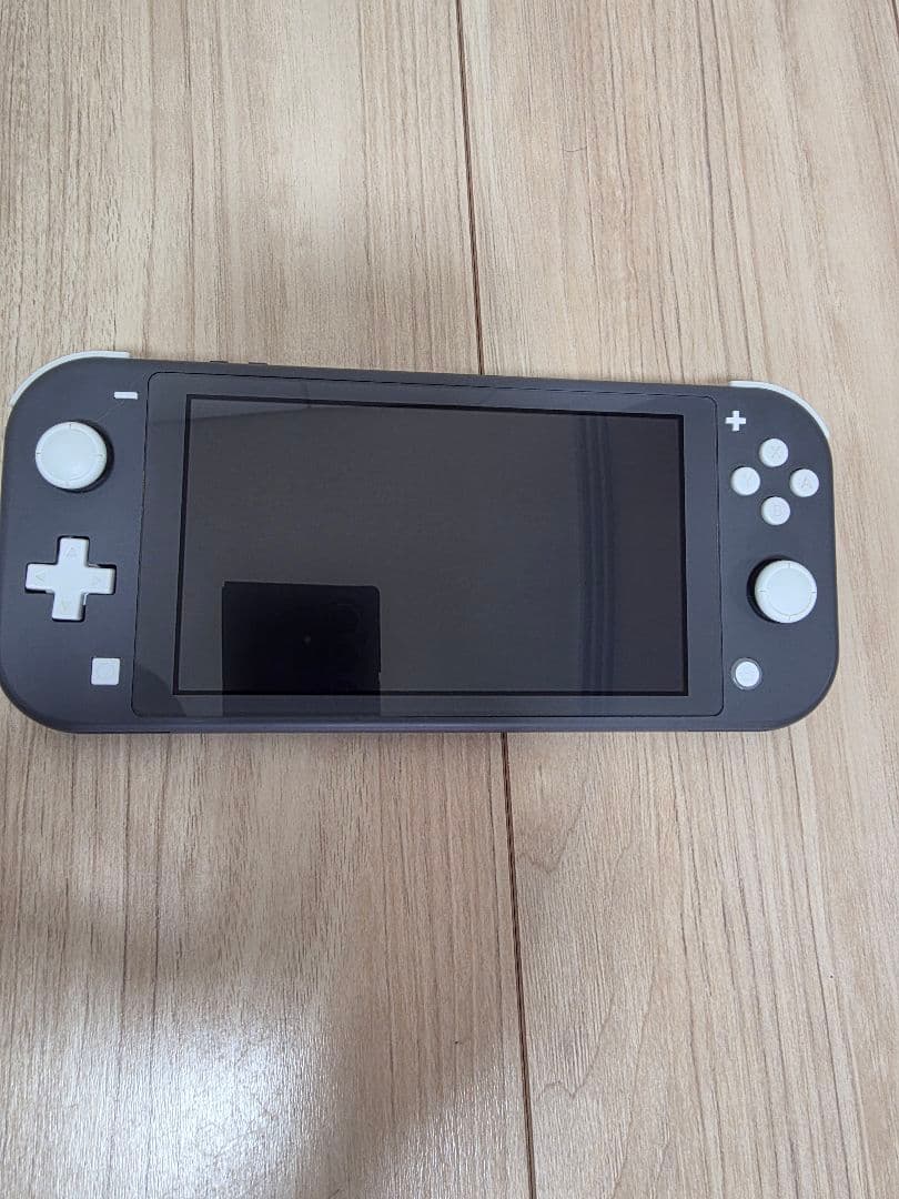 Nintendo Switch Lite　グレー