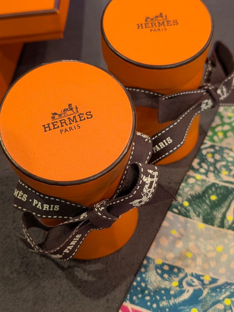 【希少】HERMES ツイリー ジャングルラブレインボープリュムティ 2本セット