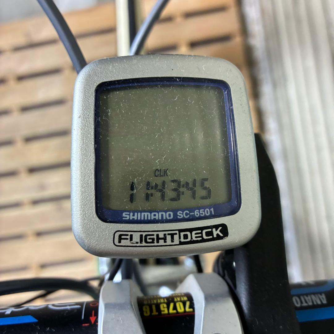 【送料込】Bianchi Mega Pro XL ロードバイク　希少　レア