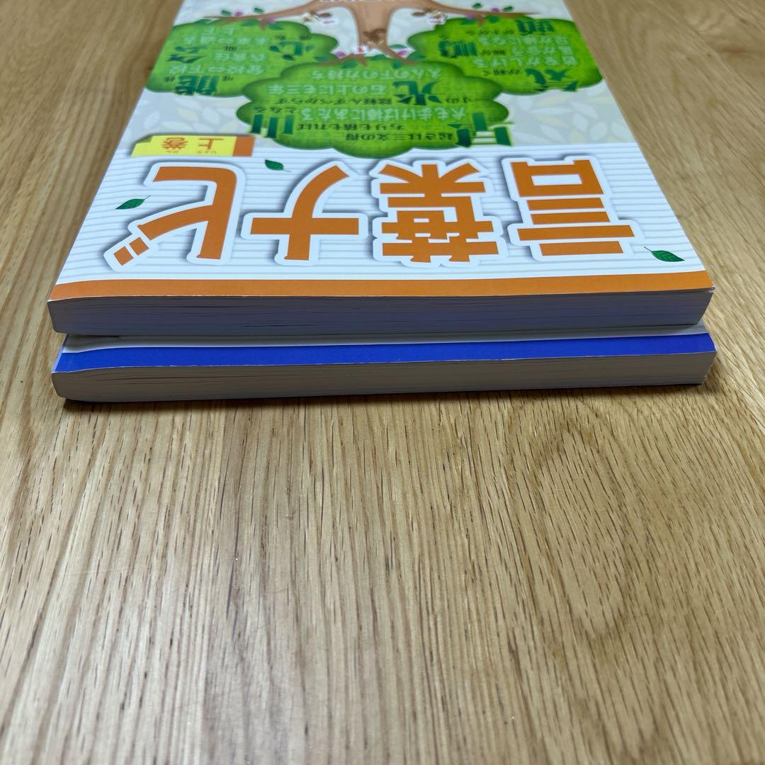 匿名配送　未使用品　サピックス 言葉ナビ 上下巻2冊セット　SAPIX 希少品