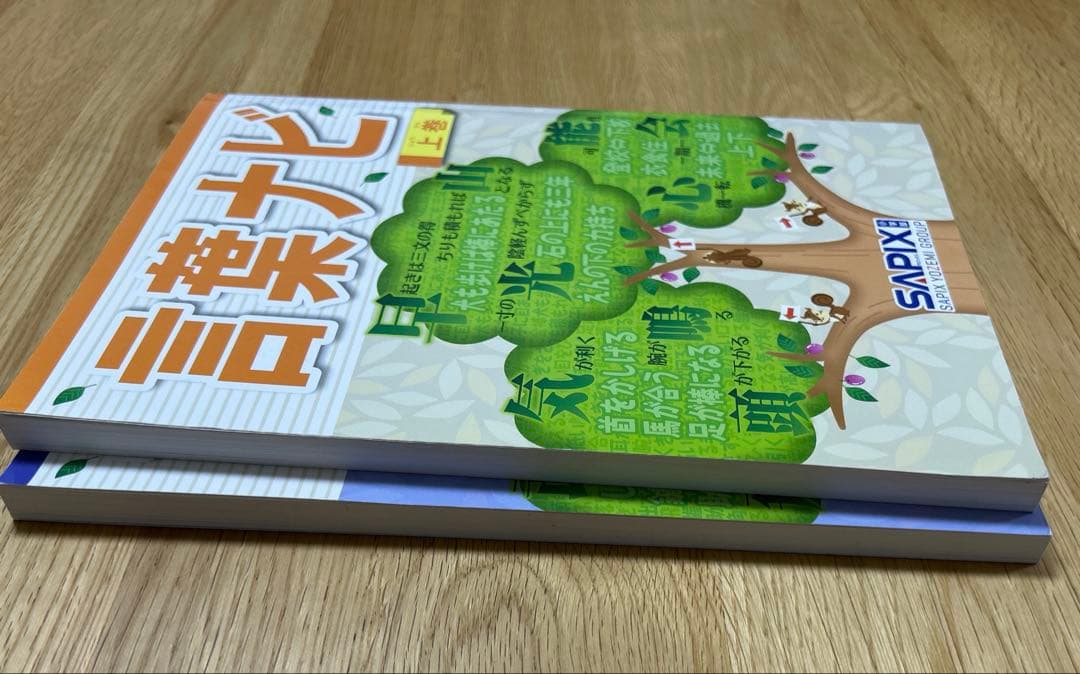 匿名配送　未使用品　サピックス 言葉ナビ 上下巻2冊セット　SAPIX 希少品